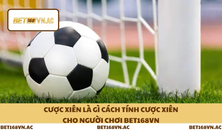 Cược Xiên Là Gì Cách Tính Cược Xiên Cho Người Chơi Bet168Vn