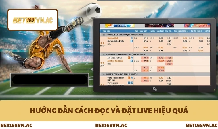 Hướng dẫn cách đọc và đặt live hiệu quả